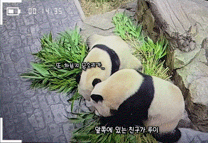 PRjobh.gif