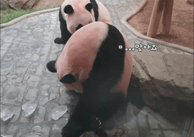 PSjzFN.gif