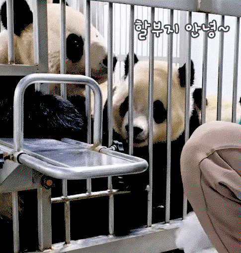 PTQmbd.gif