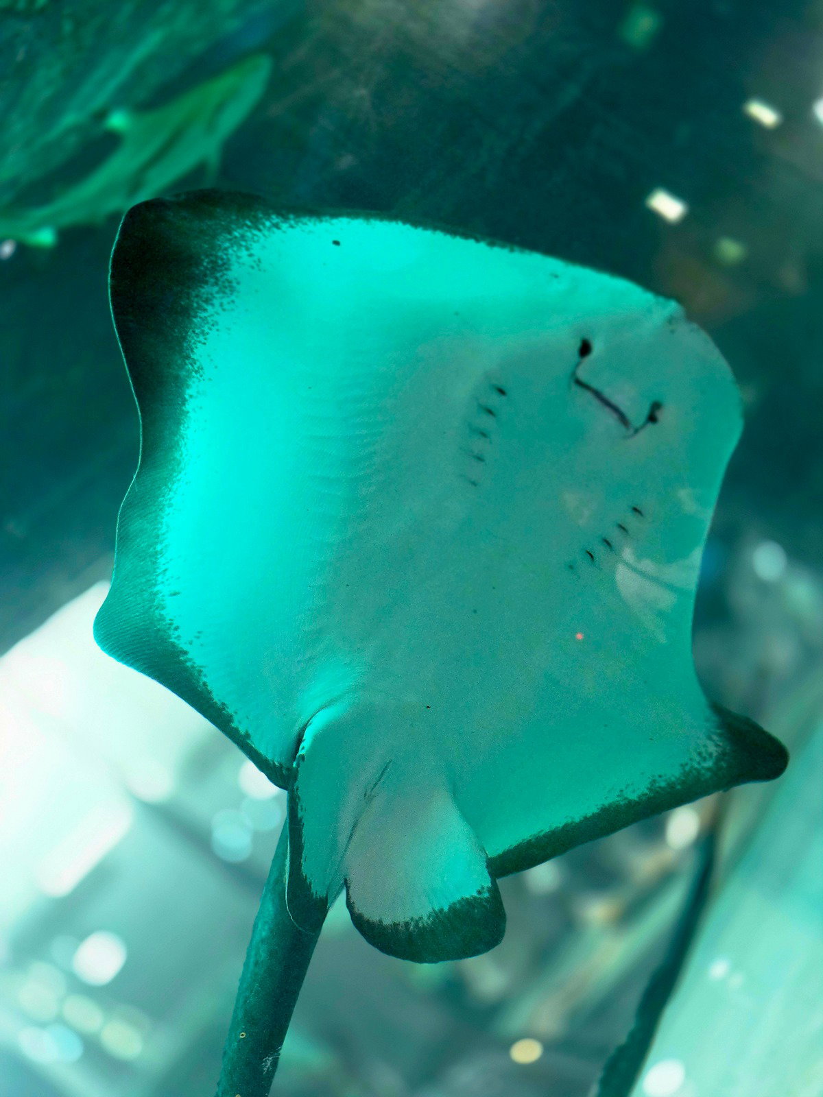 PTUaTA