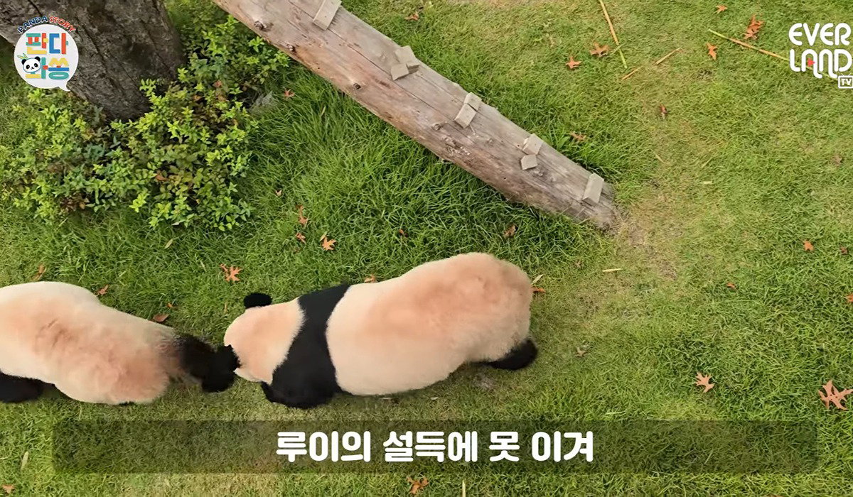 PUJRjK
