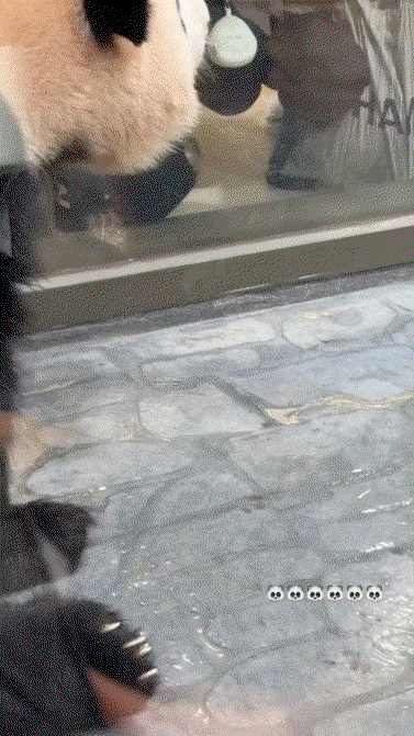 PXCJlG.gif