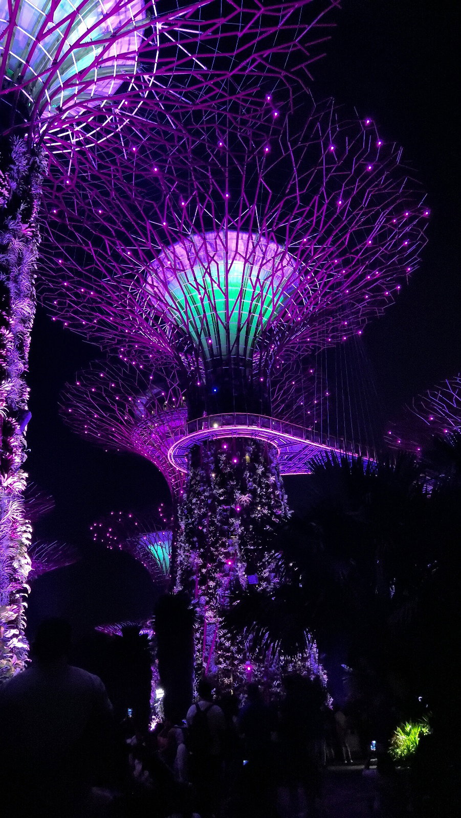 PabDaH