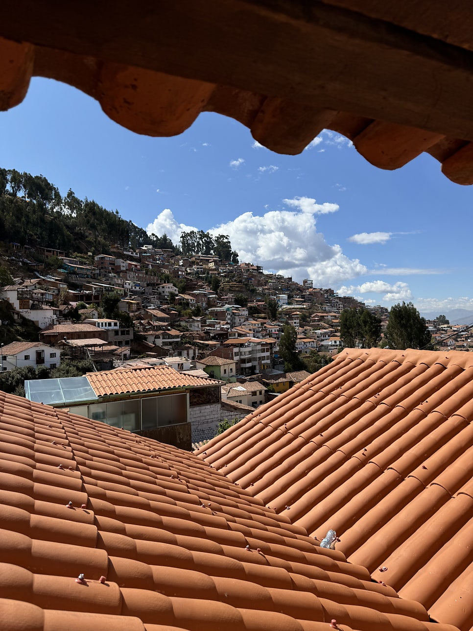 PazBEP