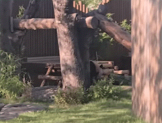 PdAyQL.gif