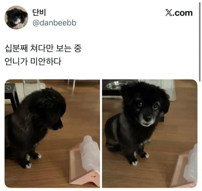 PdaHoq