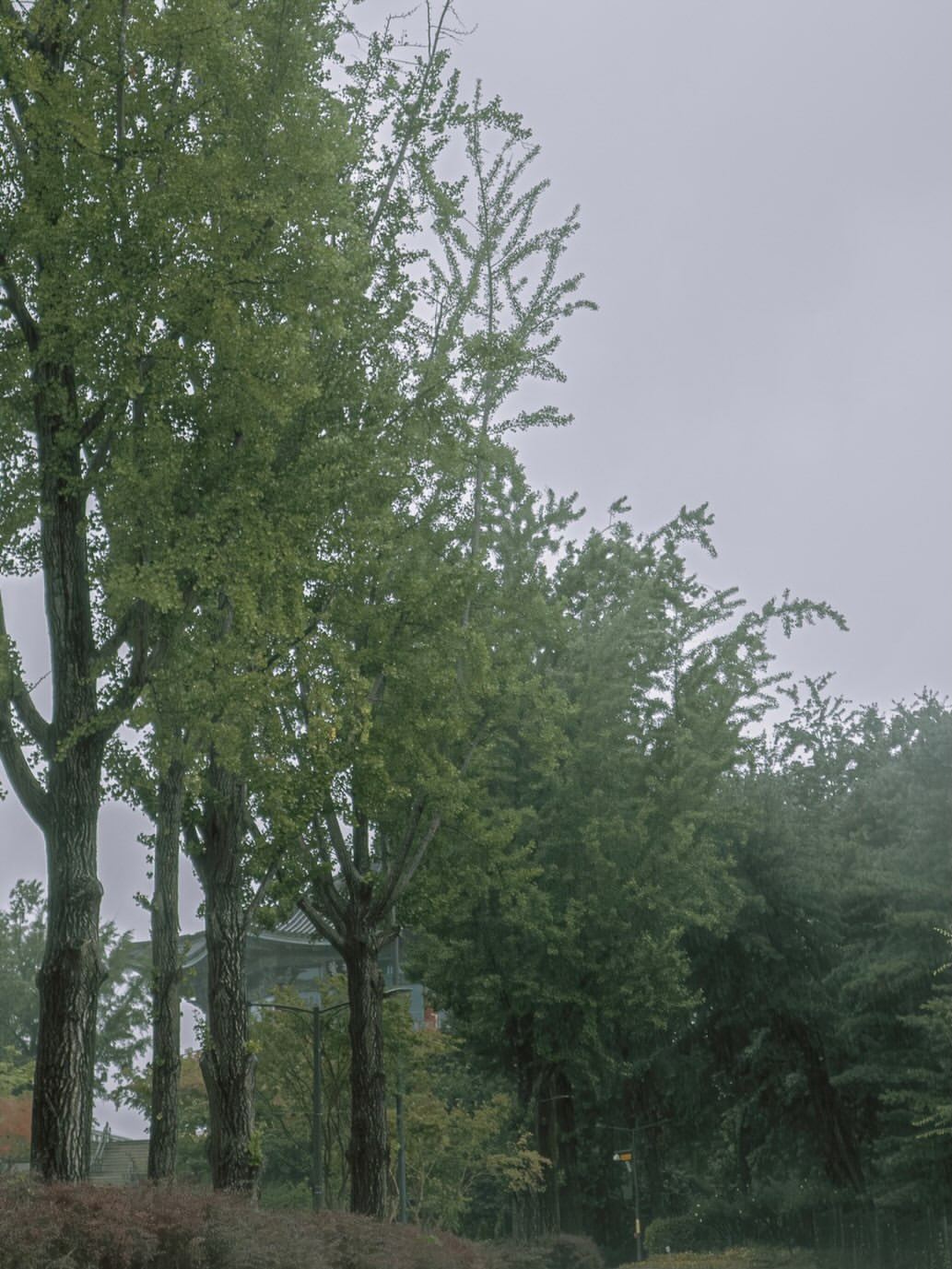 PdklNu