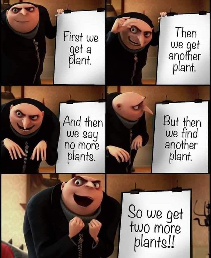 PfCtNE