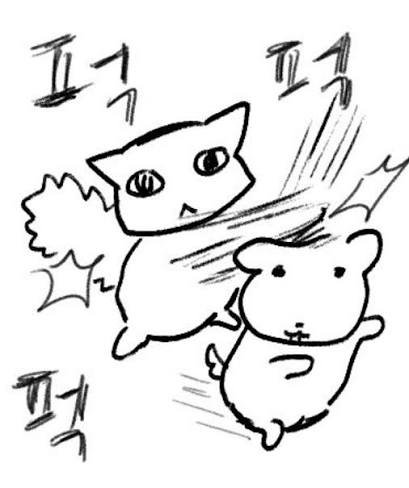 PfPuin