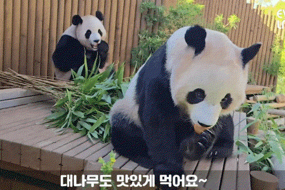 PjcmYG.gif