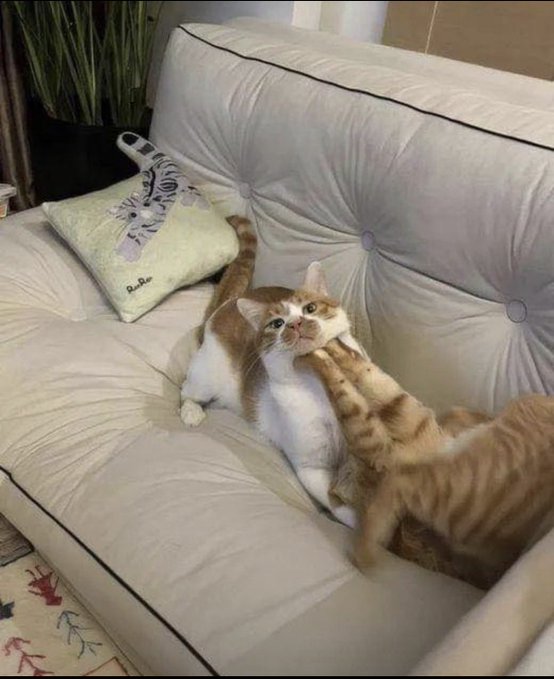PkLfMq