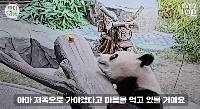 PlcAwp.gif