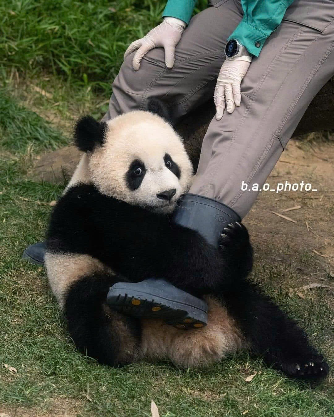 PpBekt