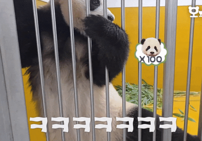 PpUNPT.gif