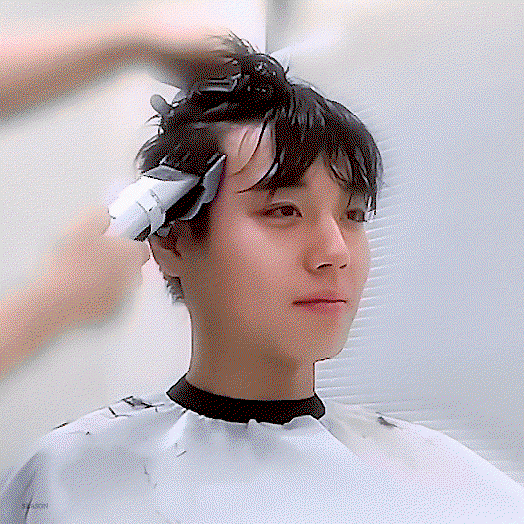 PpcrDp.gif