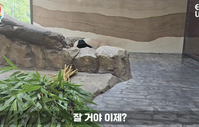 Prbapx.gif