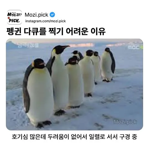 PsAZsl