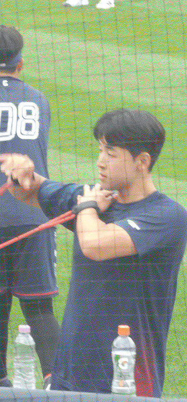 Ptafil.gif