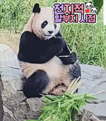 PuPDKv.gif