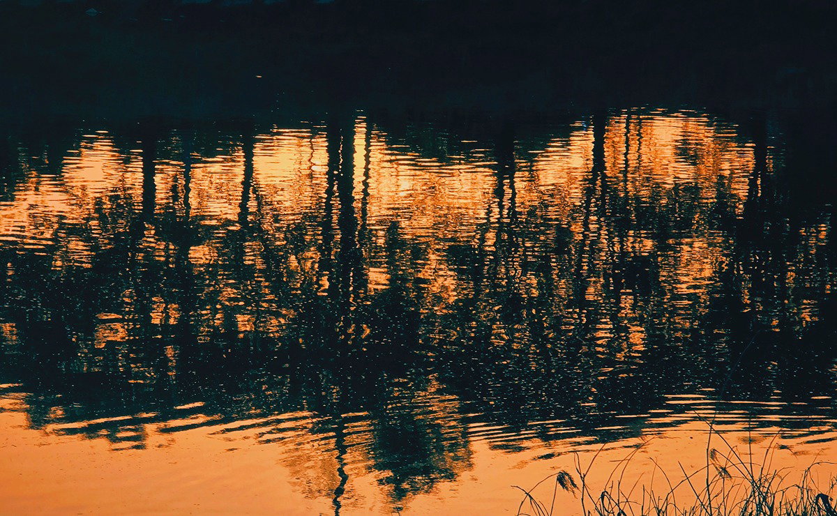 PvYakC