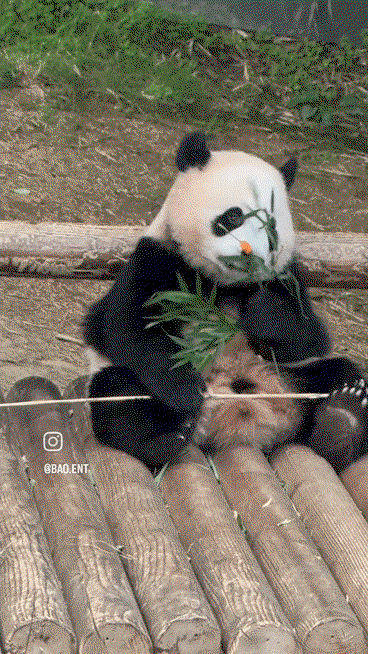 PwOrVx.gif