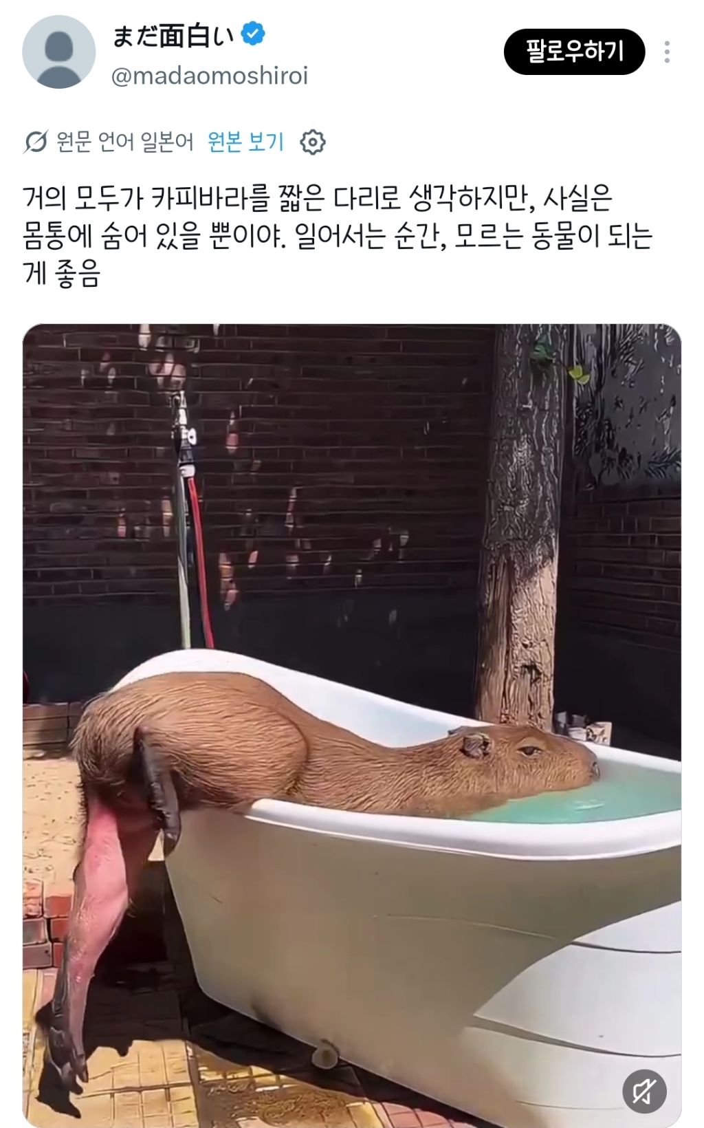 PxKlpU