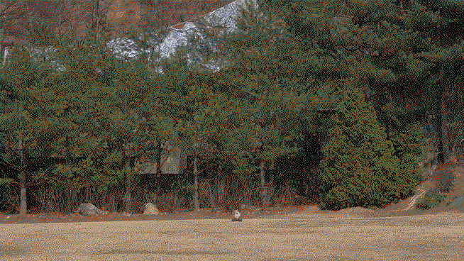QBurAV.gif