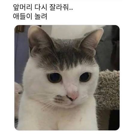QDBPht