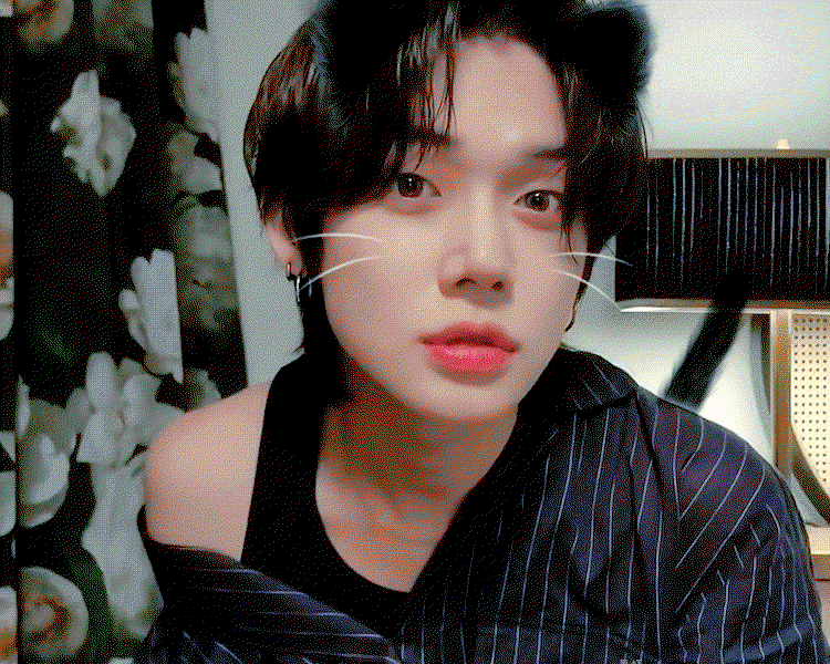 QDGRhY.gif