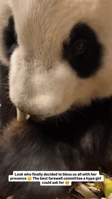 QDnMtR.gif