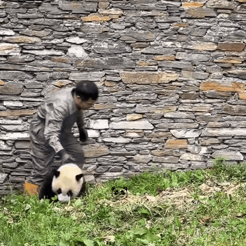 QEnyny.gif