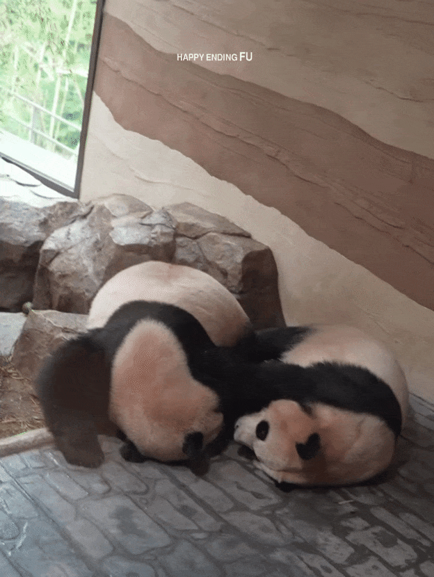 QHcAKx.gif