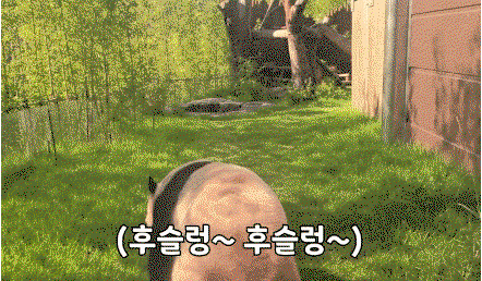 QKFbGu.gif