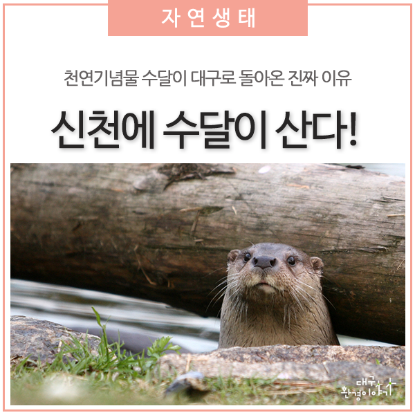 QLGnuj
