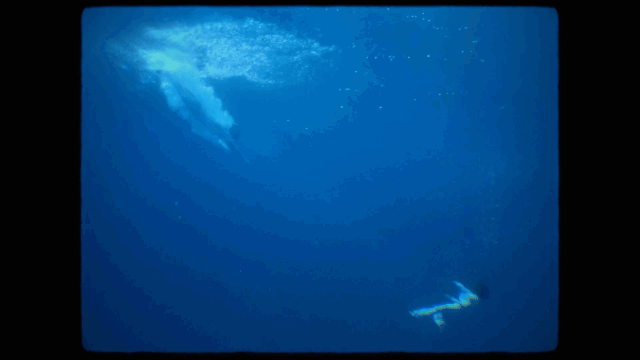 QLOLnl.gif