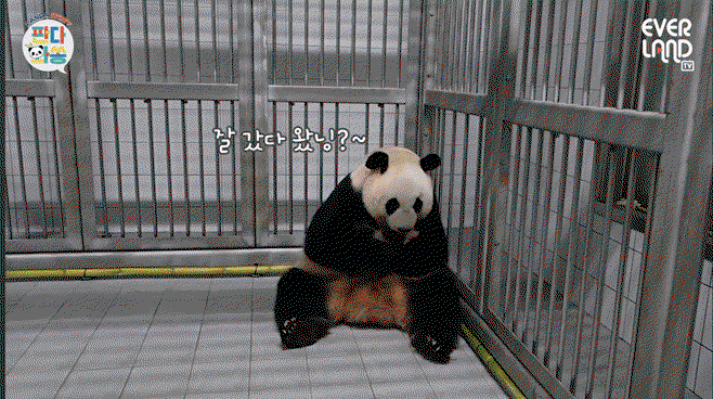 QLkQve.gif