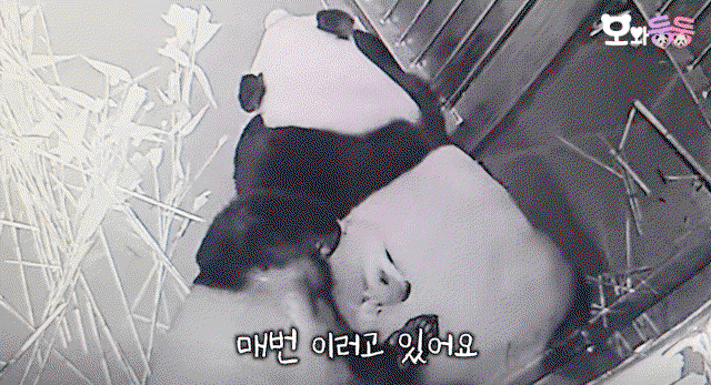 QNHDKB.gif