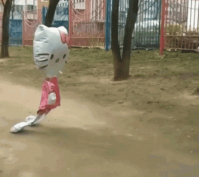 QOAWZm.gif