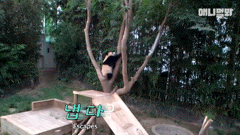 QPEjZn.gif