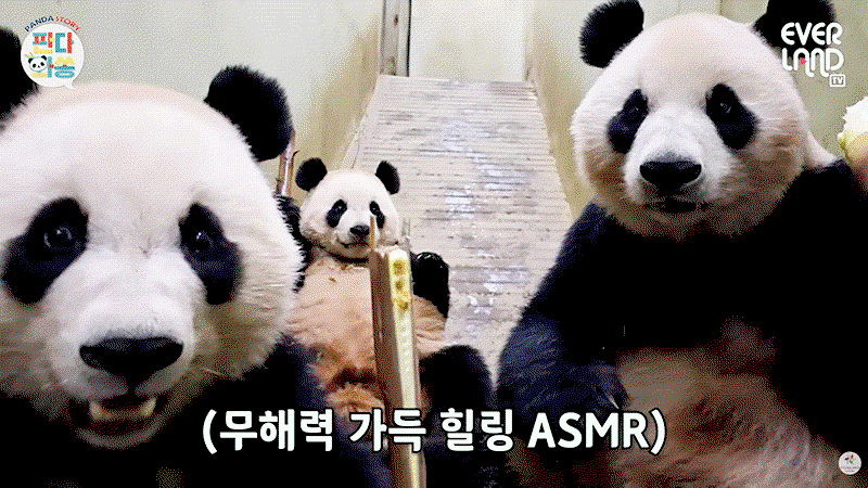 QPOZDM.gif