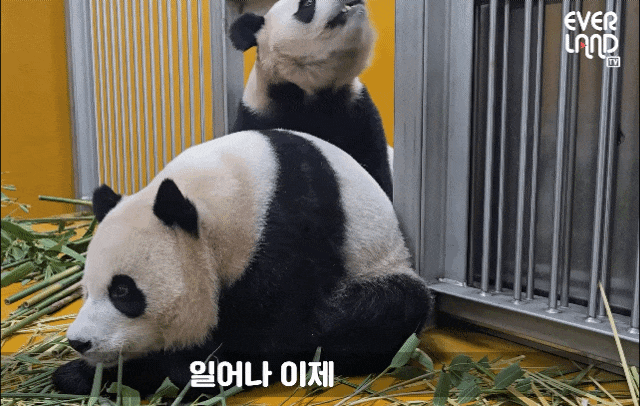 QPaMZd.gif