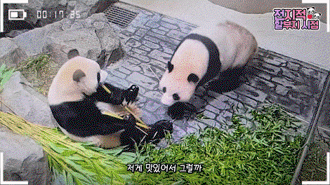 QQBfTC.gif