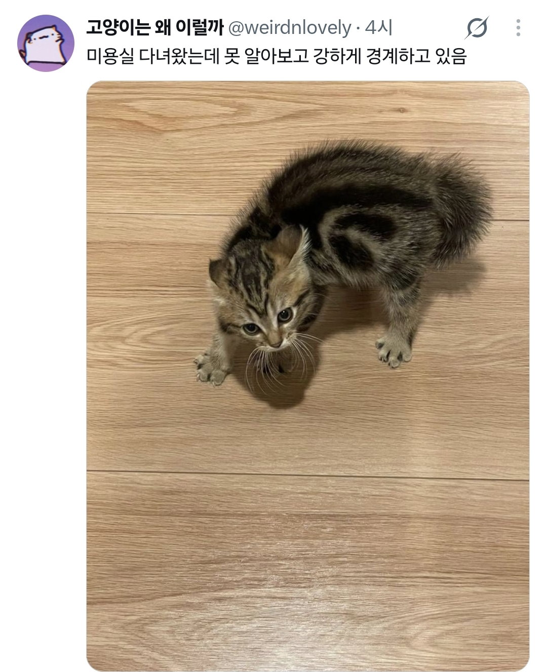 QQimGv