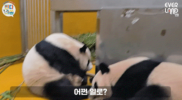 QRNQok.gif