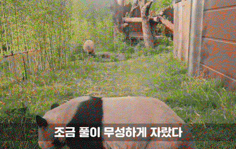 QRjBPU.gif