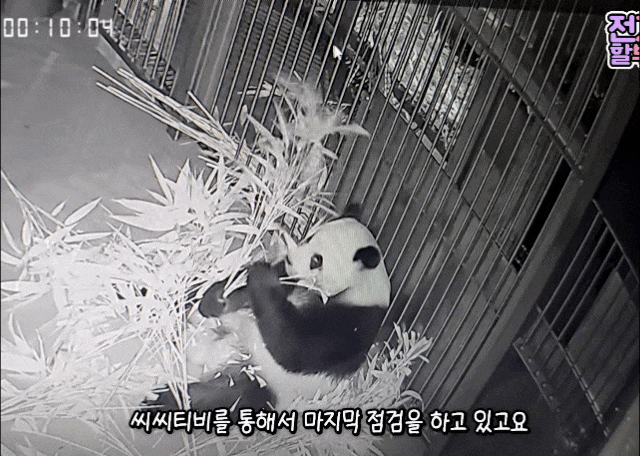 QSDikG.gif