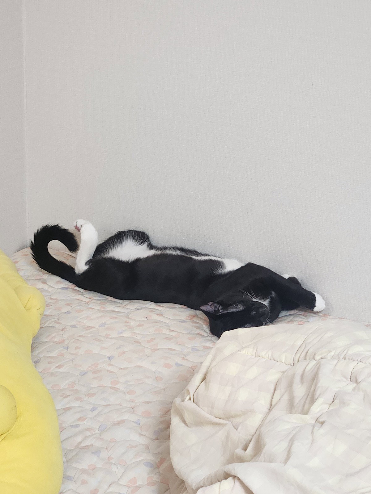 QTlnPB