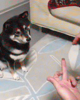 QUbPrS.gif