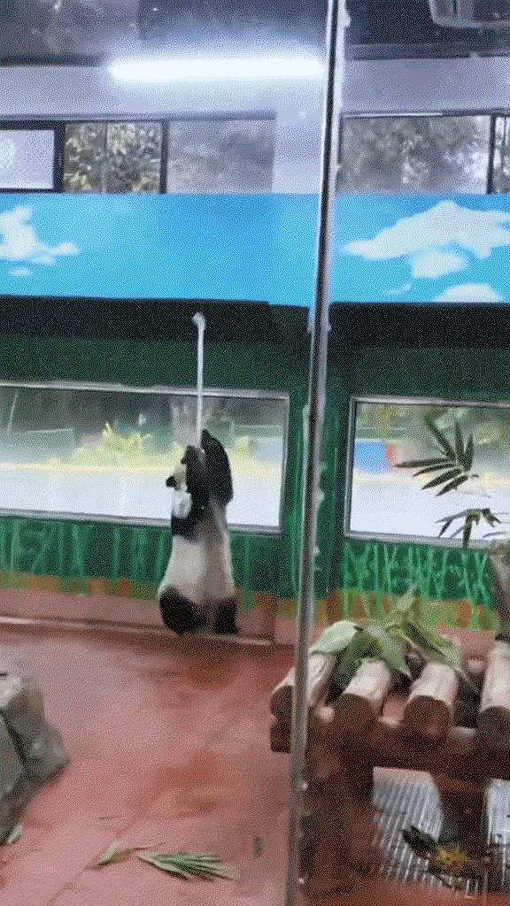 QUwYZR.gif