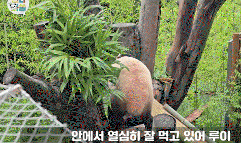 QVeKeO.gif